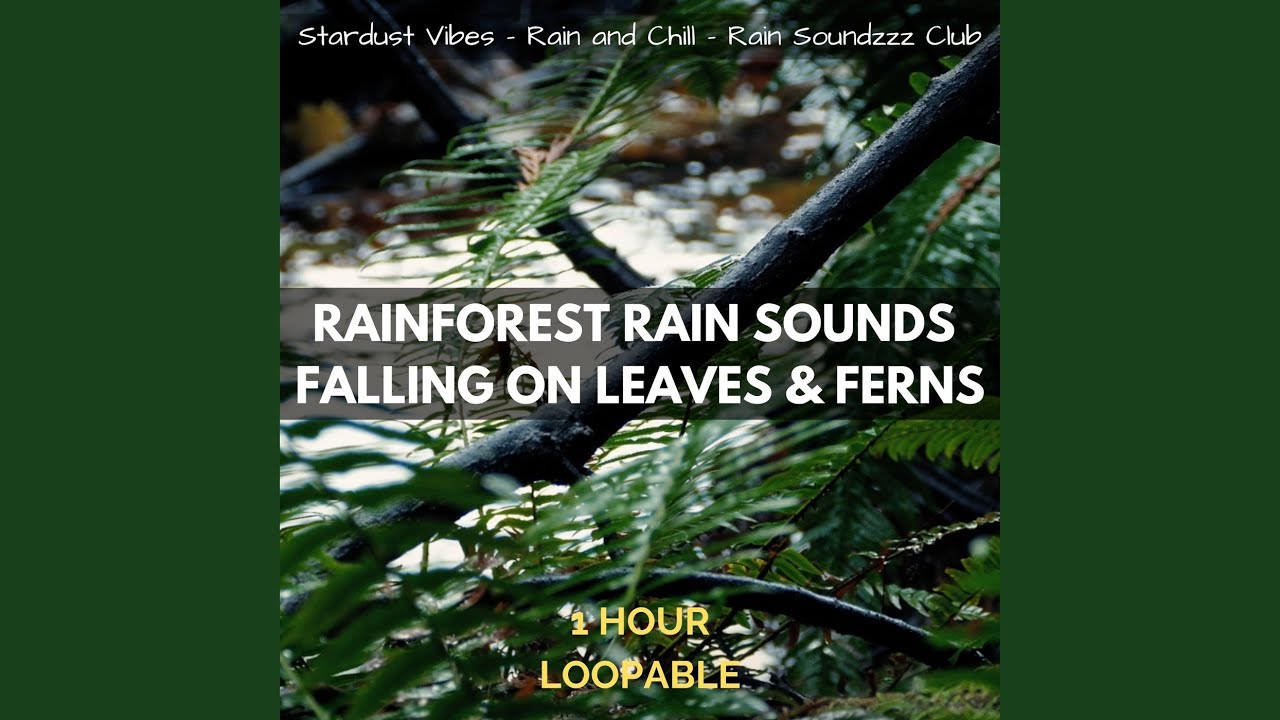 Rainforest Rain Sounds Falling on Leaves & Ferns: One Hour (Loopable)