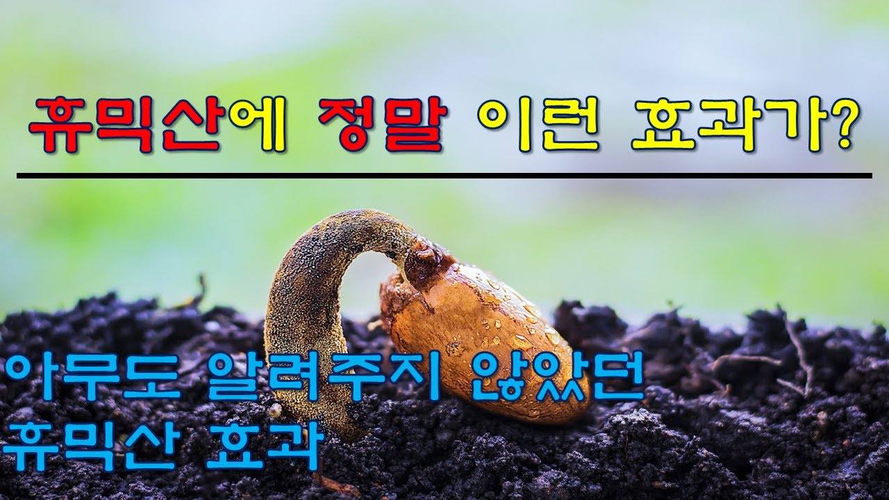 휴믹산에 정말 이런 효과가? 아무도 알려주지 않았던 휴믹산의 놀라운 효과들