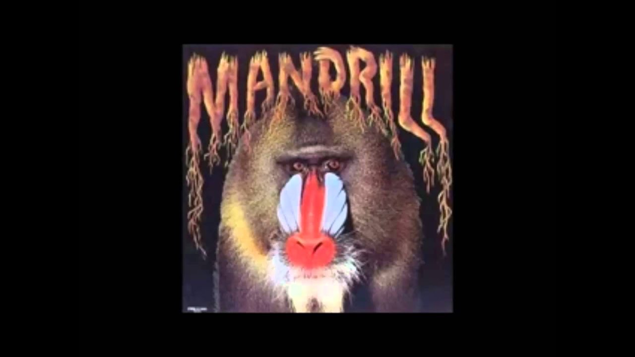 MANDRILL IN MANDRILL LAND POSITIVE THING 1974 edit by jazz 42