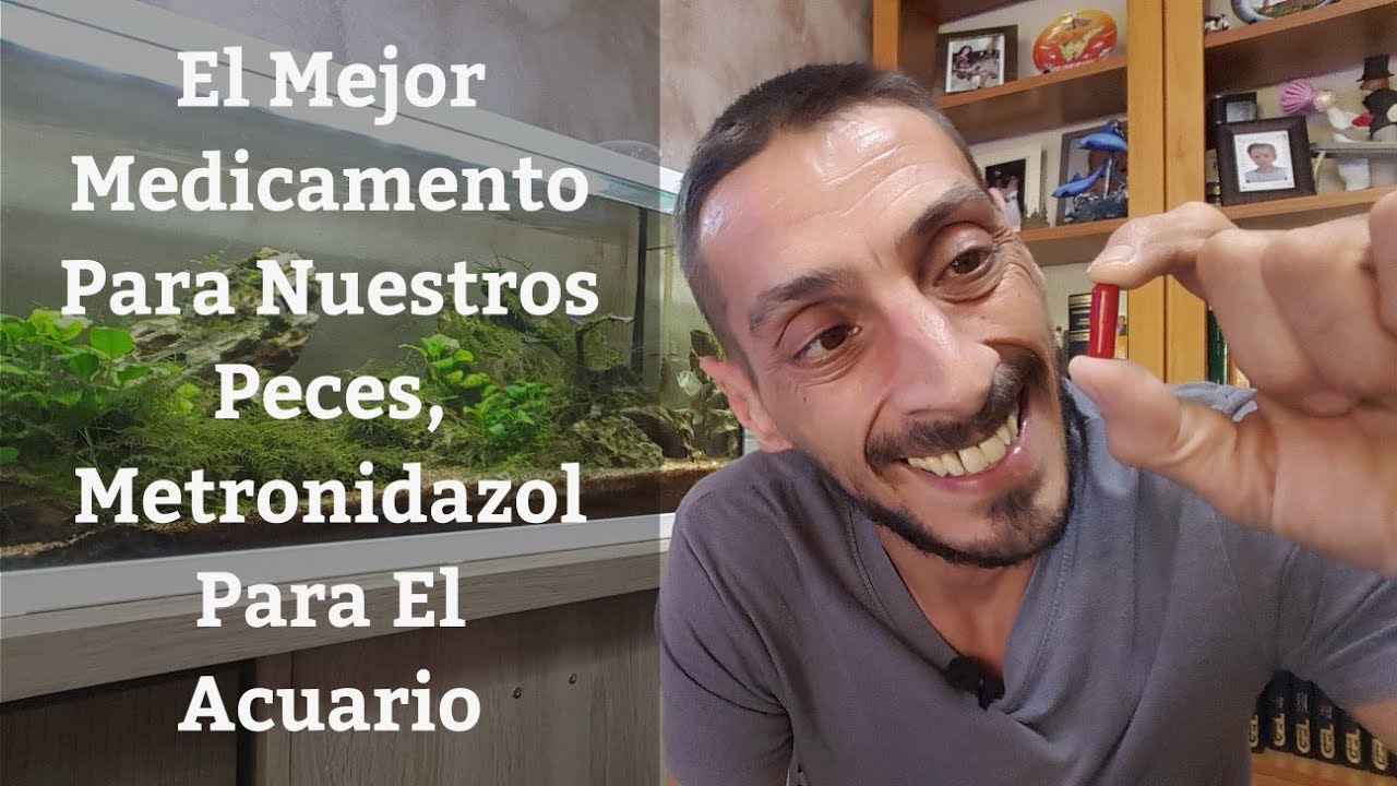 🔵 El Mejor Medicamento Para Tratar Enfermedades De Peces,Metronidazol En El Acuario (Acuarios MB)