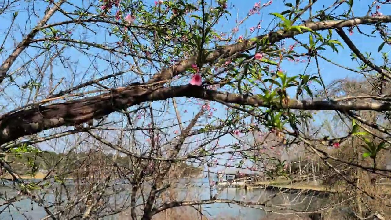 Spring 2026 on Indian Creek