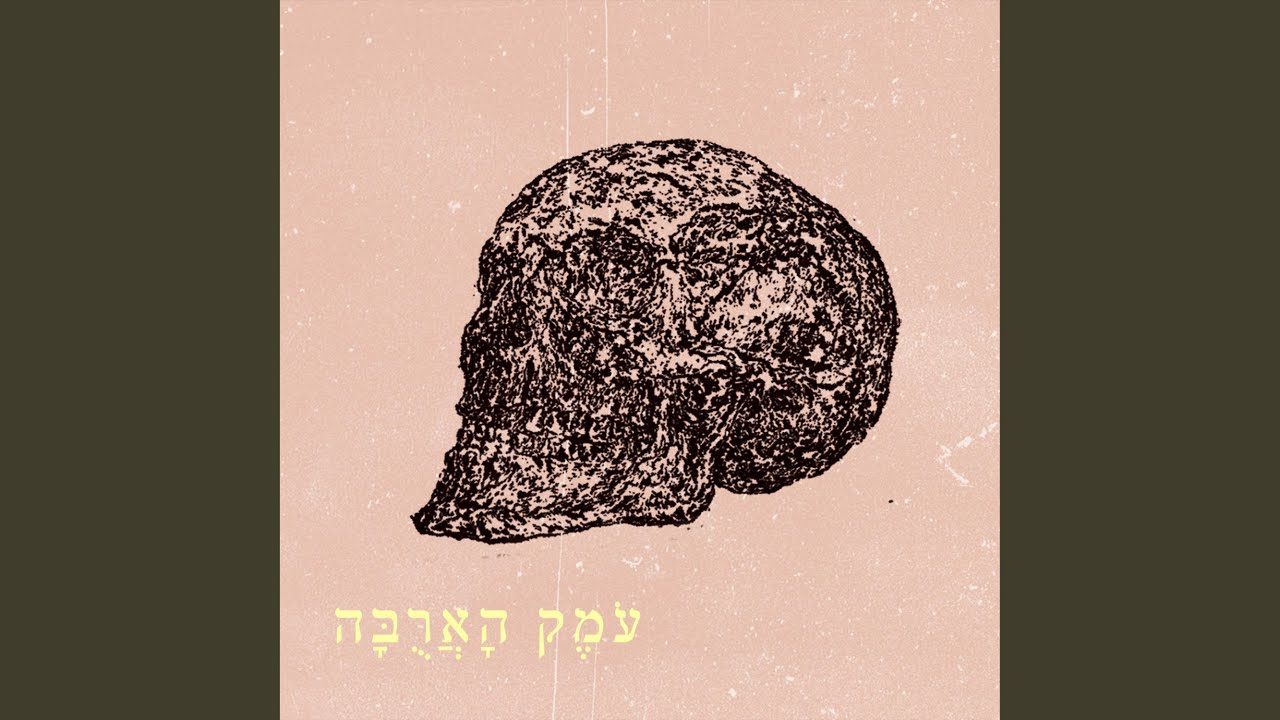 ניקיטה