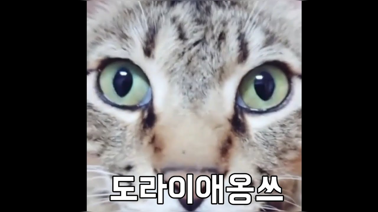 그땐 몰랐지...............