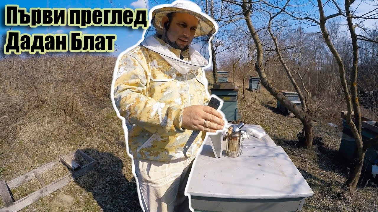 Осведомителен първи преглед на Дадан Блат