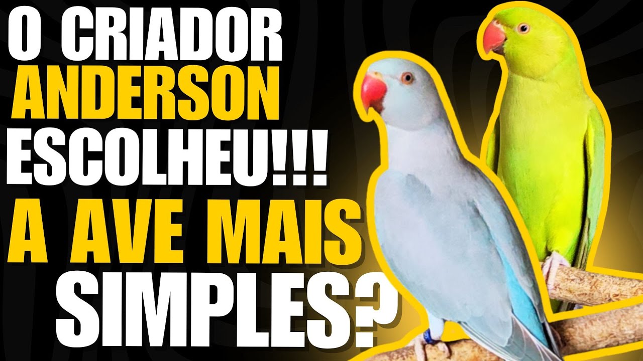 UM RING NECK SKY BLUE PODE SER O MELHOR?