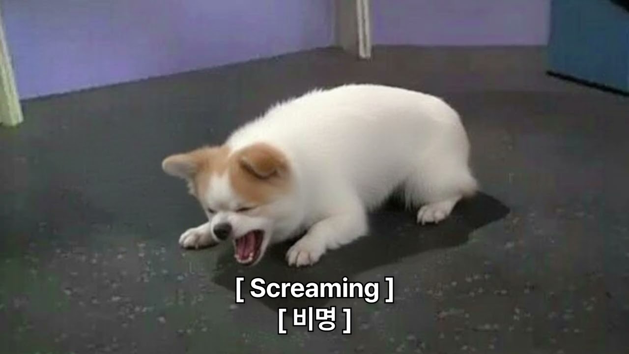 Ctrl+S를 안 하고 방심하던 날 [playlist]