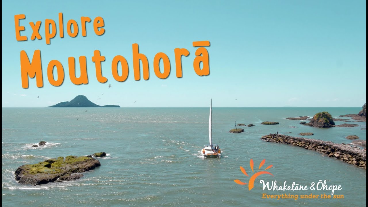 Amazing day out exploring Moutohorā (Whale Island), New Zealand