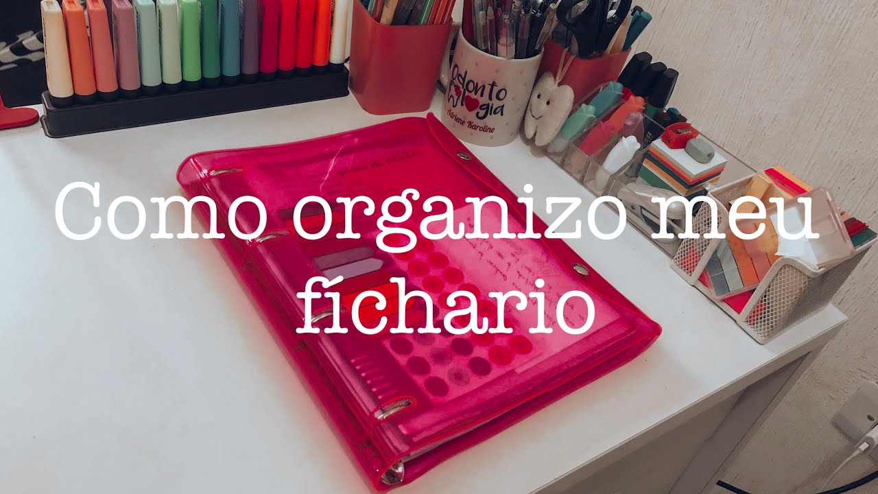 COMO ORGANIZO MEU F&Iacute;CHARIO | Dac neon