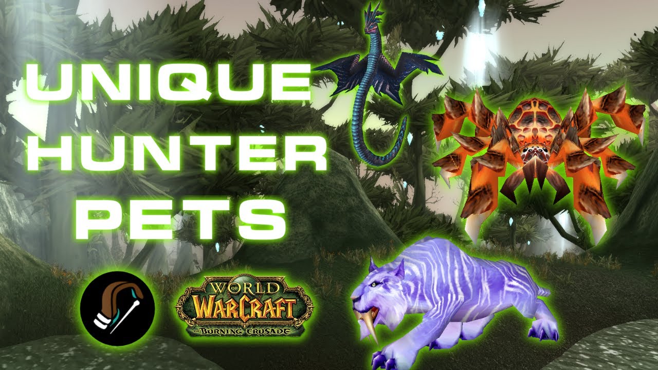 Unique Hunter Pets in WoW TBC Classic // Be different, Be Unique