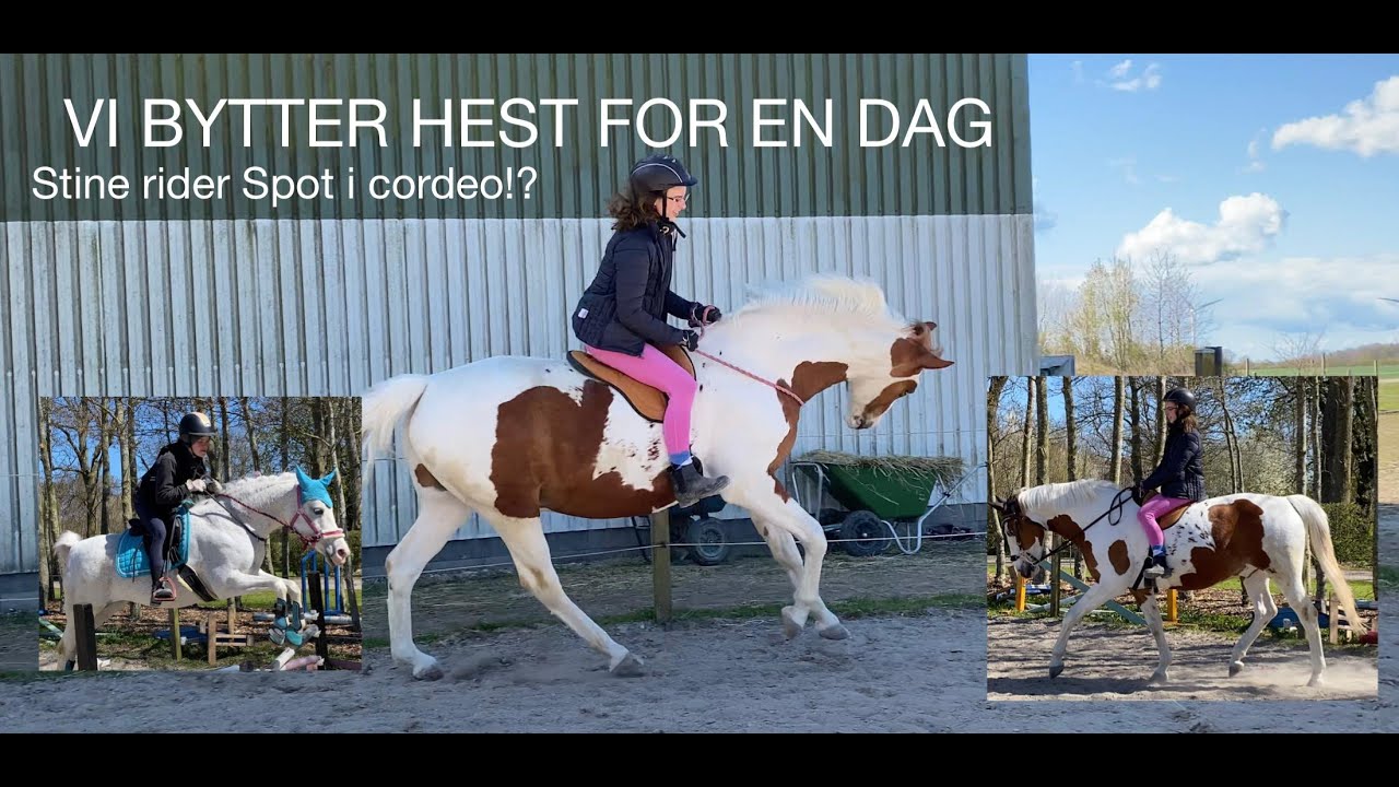 VI BYTTER HEST FOR EN DAG - STINE RIDER SPOT I CORDEO?!? - IDA SKAFTE
