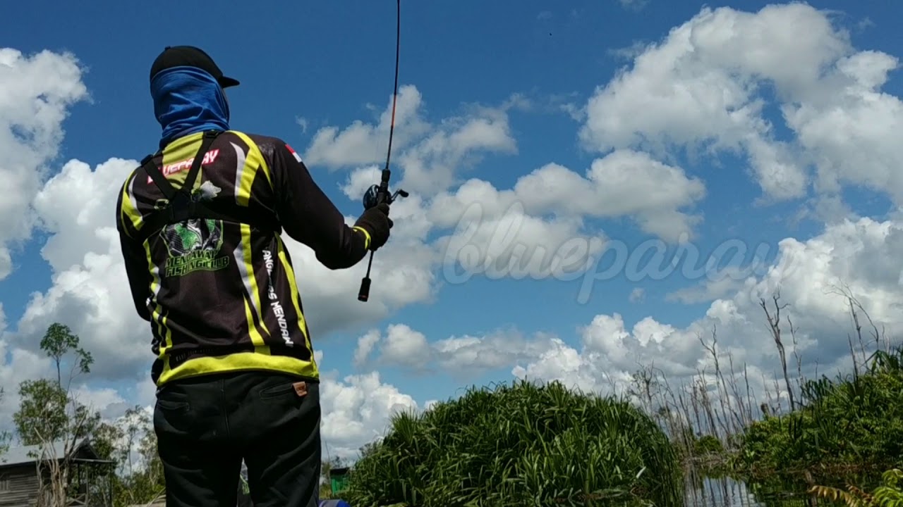 INTRO BLUEPARAY FISHING VLOG