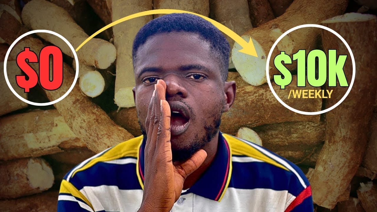 I Compared Fresh And Dried Cassava For Chinese Supply… Here’s The Truth That Make You More Profit.