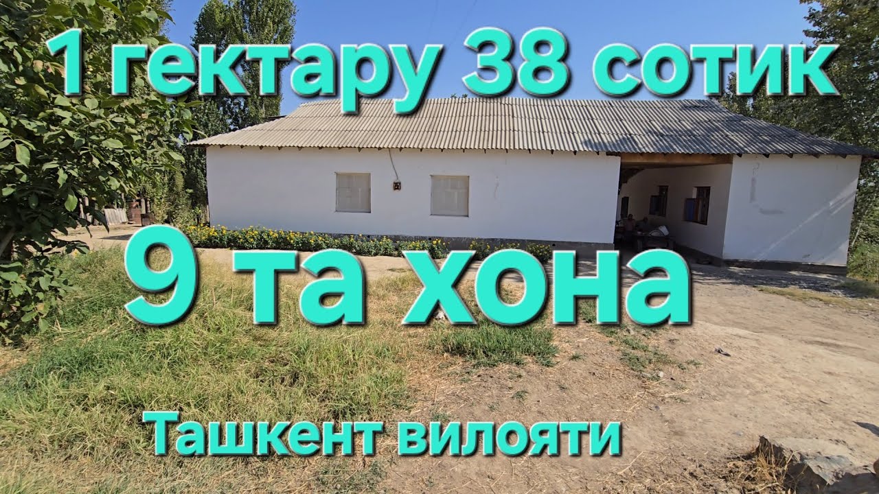 Арзони ТОШКЕНТ ВИЛОЯТИДА МАЗЗА КИБ ЯШИМАН ДЕГАНЛАРГА СОТИЛАДИ 