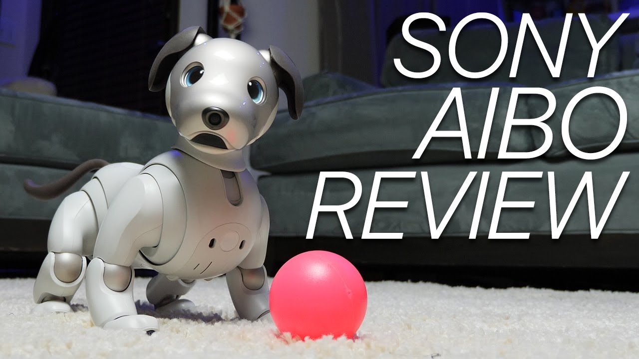 Обзор Sony Aibo: эта роботизированная собака ВСЕ ЕЩЕ учится новым трюкам!
