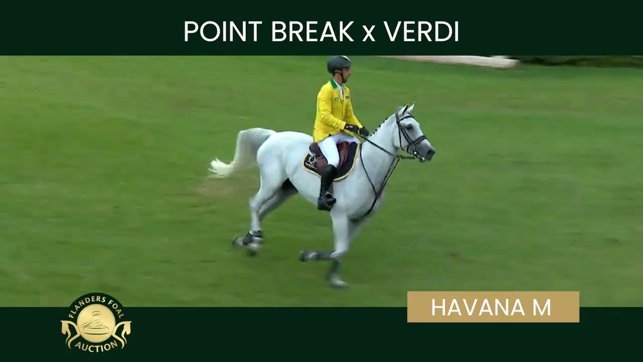 Embryo 8 Point Break x Havana M