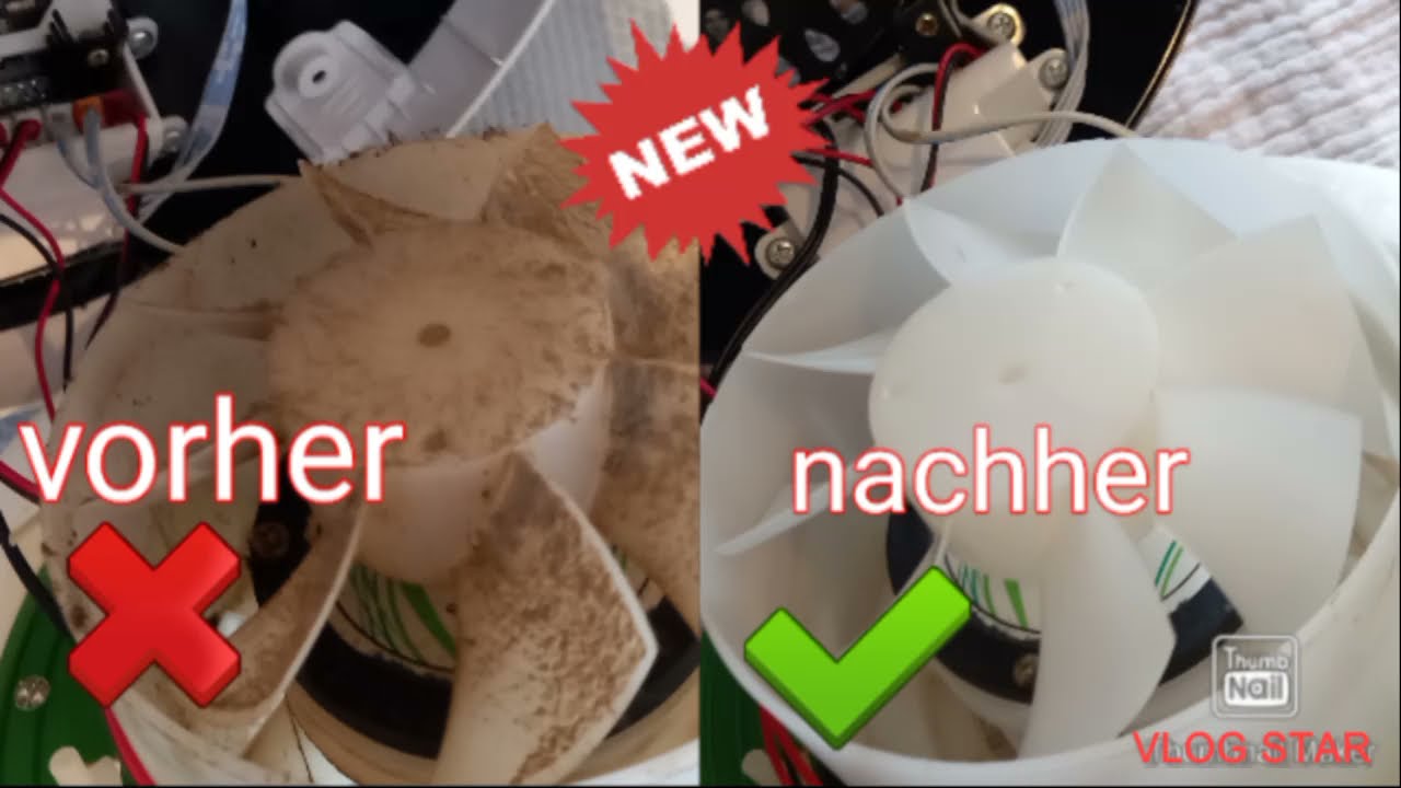 Airbowl reinigen ❤ Reinigung von Pinklabauter ❤ Staub und Schmutz entfernen ❤