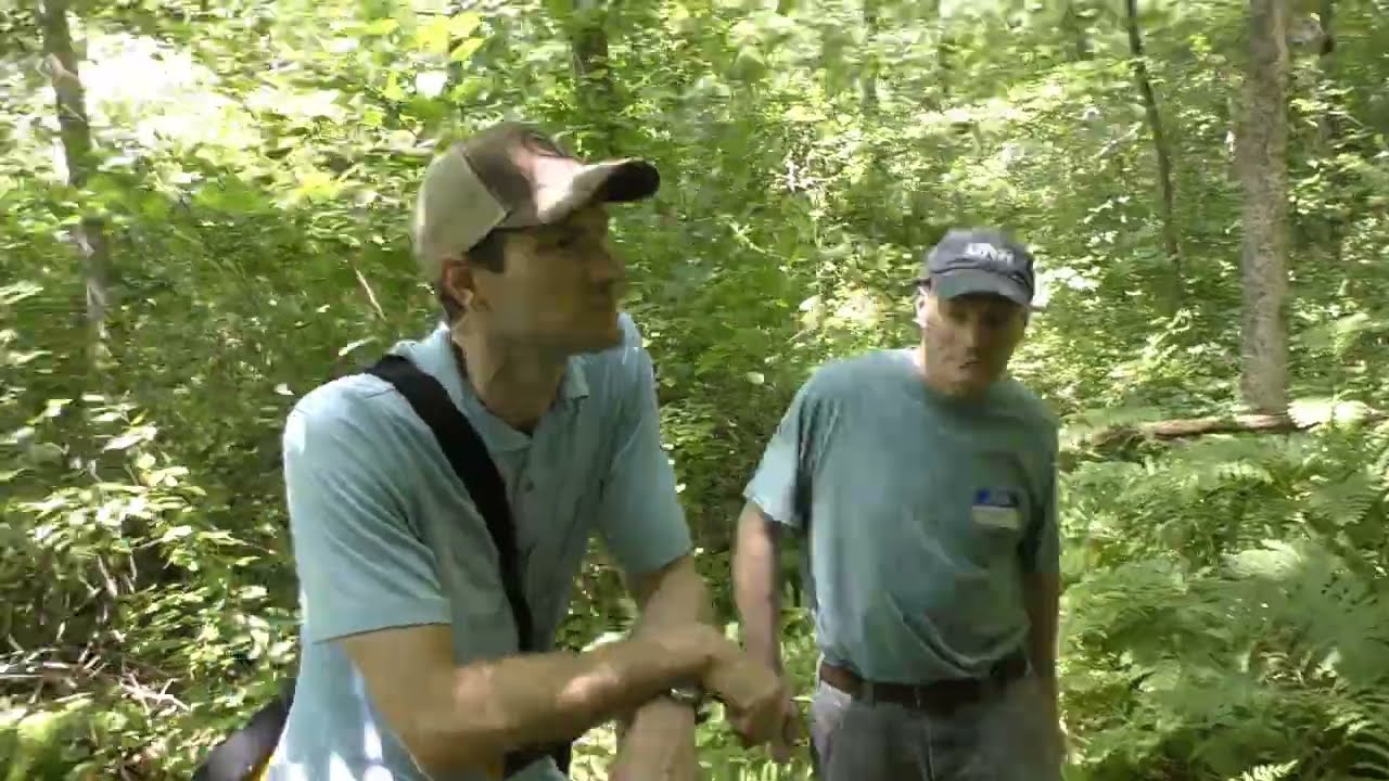 Inland Wetland Delineation Training - Replacement Guidelines