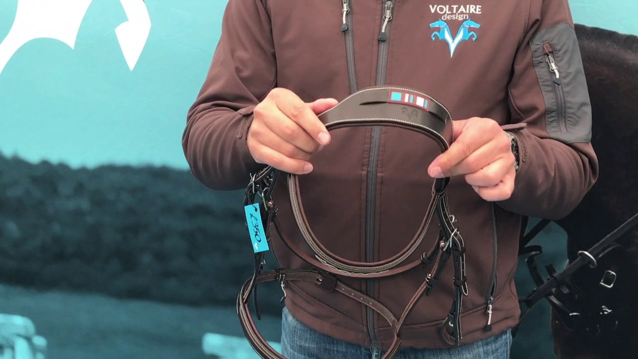Voltaire Design Bridle