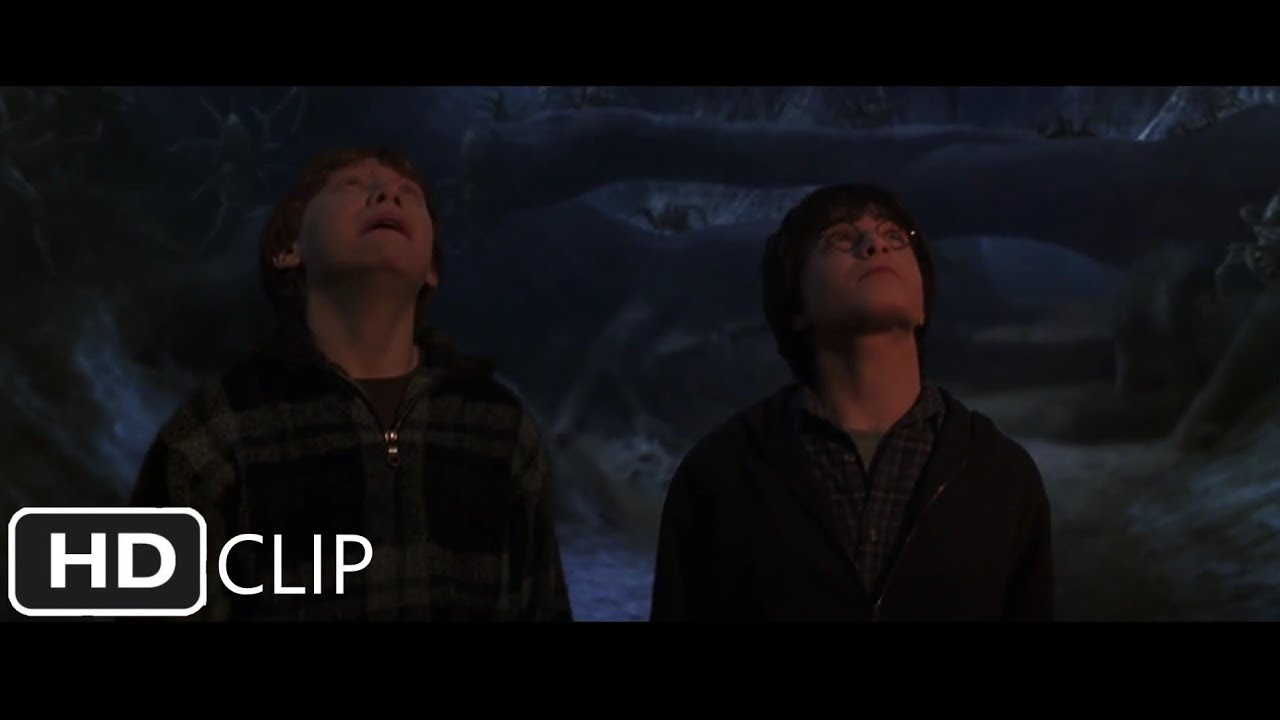 Follow The Spiders (Part 2) | Harry Potter and the Chamber of Secrets