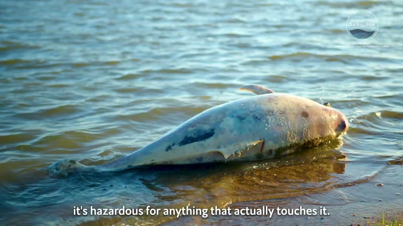 Wastewater and sewage 101