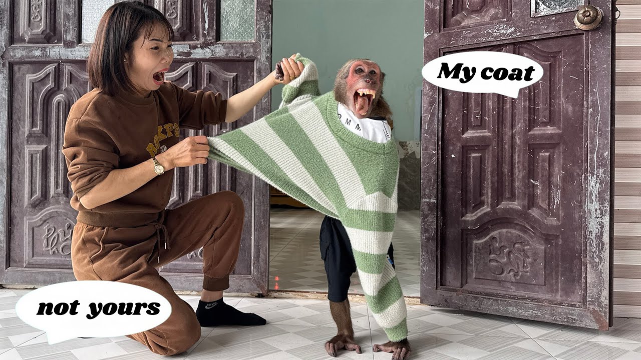 OMG! Mom Was Angry When She Saw Abu Grabbing Her Coat!