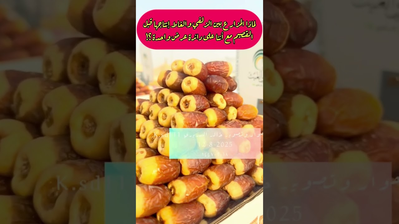 167أكبر سوق للتمور في العالم