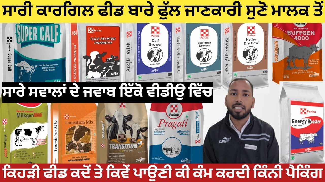 ਸਾਰੀ ਕਾਰਗਿਲ ਫੀਡ ਬਾਰੇ ਫੁੱਲ ਜਾਣਕਾਰੀ। ਸੁਣੋ ਕਿਹੜੀ ਫੀਡ ਕਦੋਂ ਕਿਵੇਂ ਪਾਉਣੀ ਕੀ ਕੰਮ ਕਰਦੀ ਸਭ ਸਵਾਲਾਂ ਦੇ ਜਵਾਬ।
