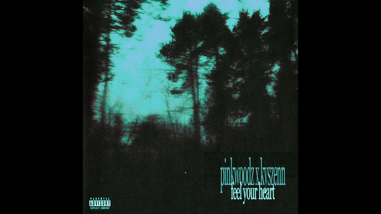 feel your heart - pinkwoodz, kyszenn (slowed)