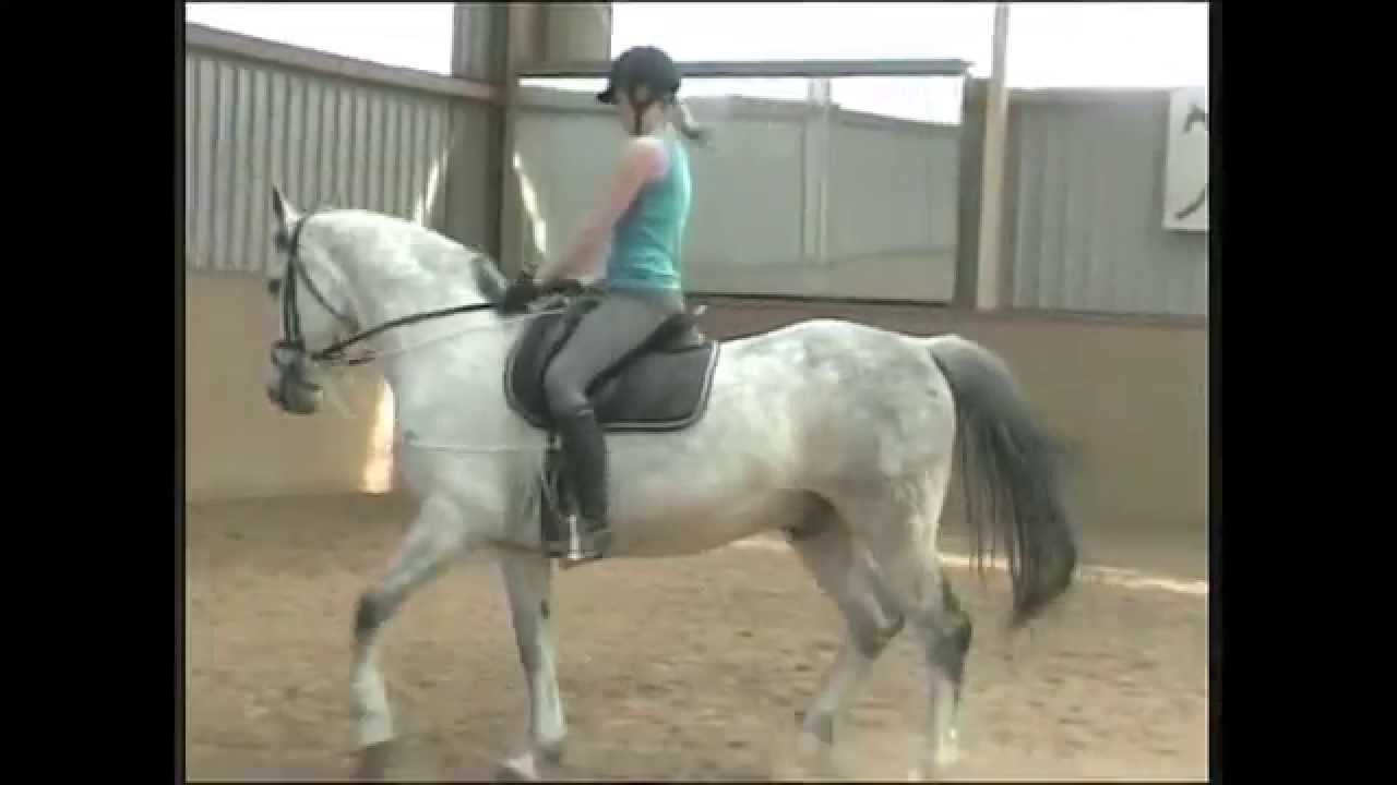 Mach mal 'ne Biege - Der Sitz des Reiters während der Biegung