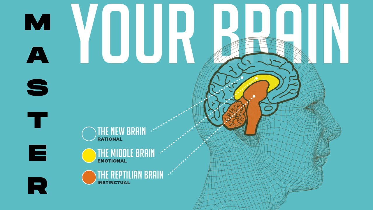 Amygdala Hijack Anxiety How To Control Your 3 Brains