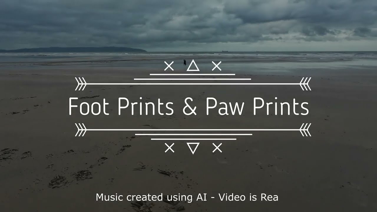 Foot Prints & Paw Prints - Downhill Beach 2026