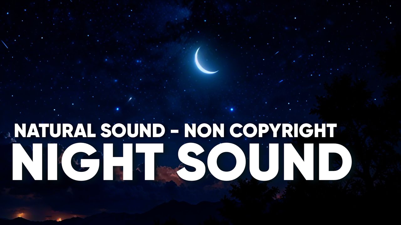 Starry Night Sky Ambiance: 4K Vista of the Moon, Stars, and Soaring Birds | NO COPYRIGHT