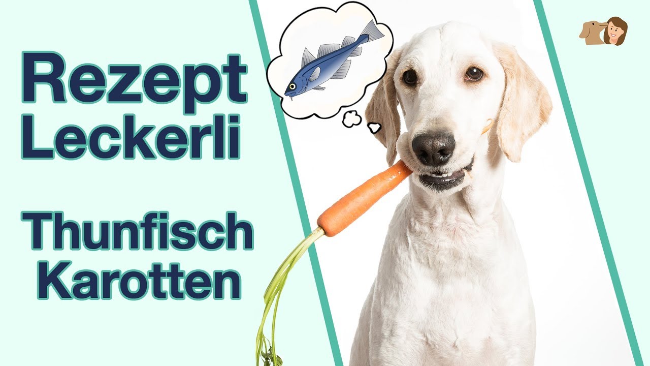 Rezept Leckerli mit Thunfisch und Karotten: So einfach kannst du es selbst backen!