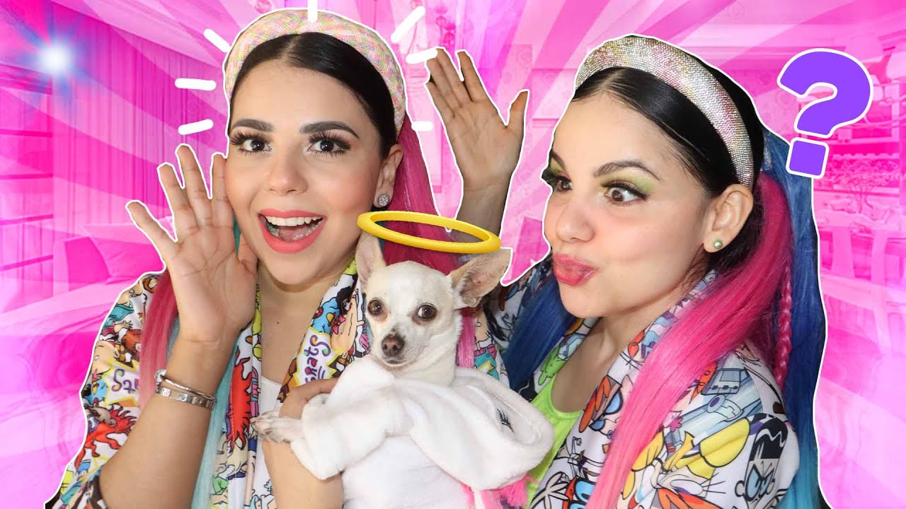 Me robó a una perrita igual a Candy  Gaby y Gilda