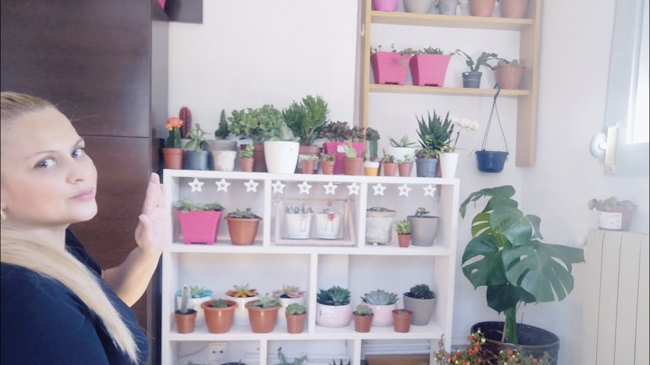 COMPRÉ: Cactus, Suculentas y Plantas de Interior - Sandra Villar