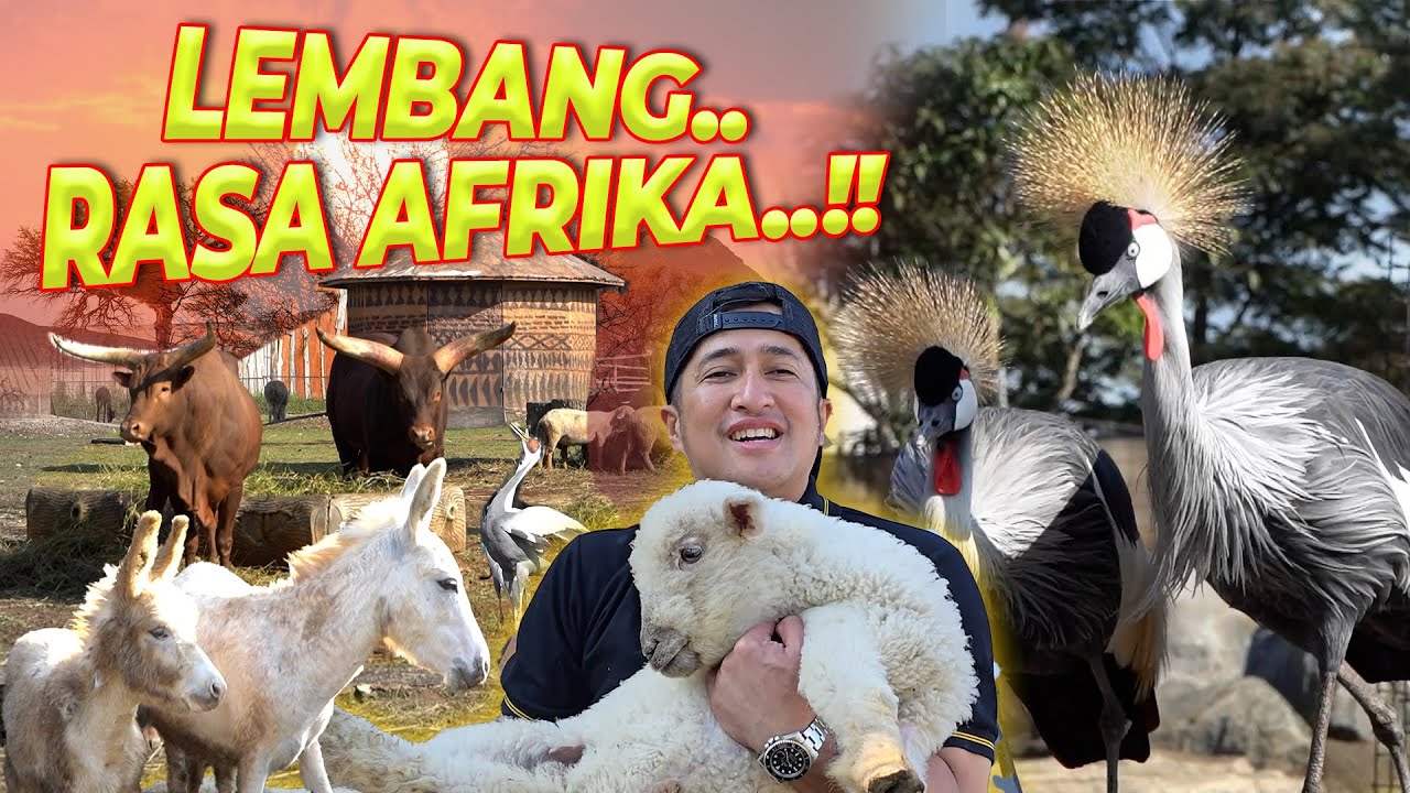 GAK USAH JAUH-JAUH KE AFRIKA.. DISINI JUGA UDAH ADA..!!