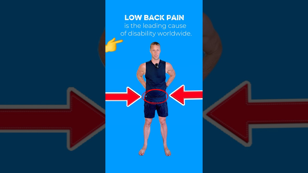 Low back pain is the leading cause of disability worldwide! #seniorfitness #backpain