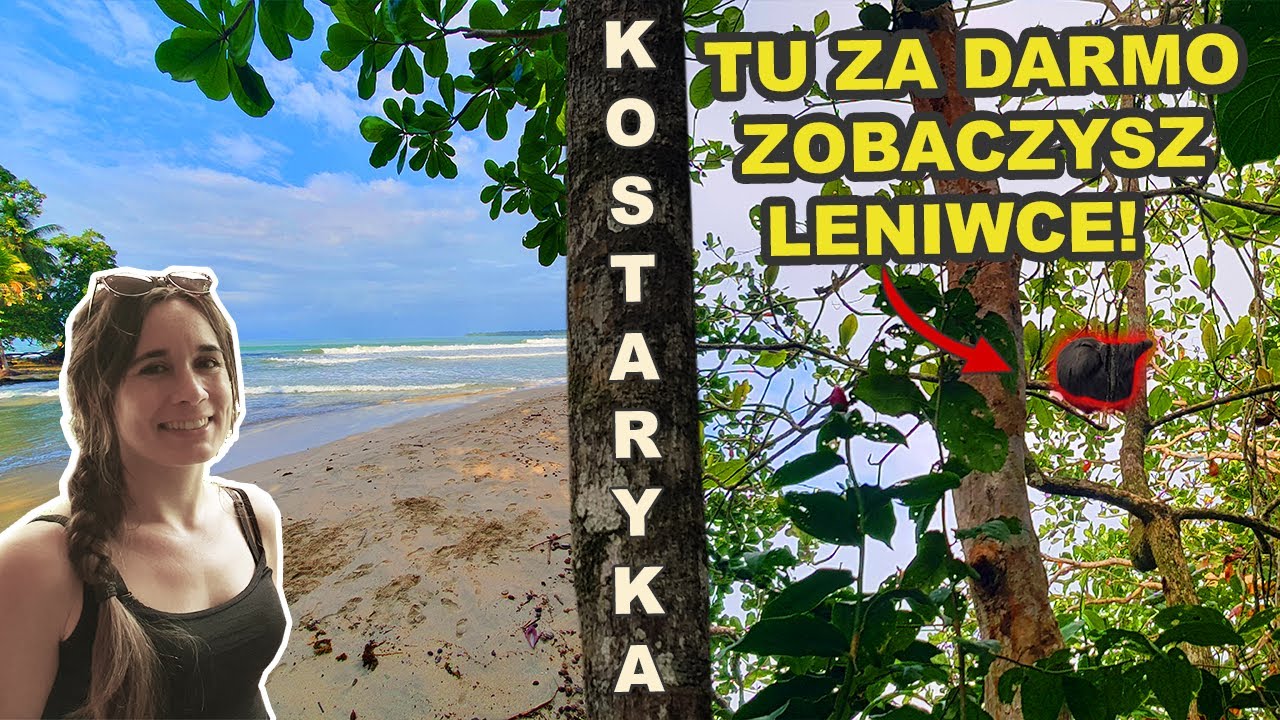 Darmowy Park w Kostaryce, Plaże Karaibskie, Leniwce🌎 Kostaryka | Ameryka Środkowa