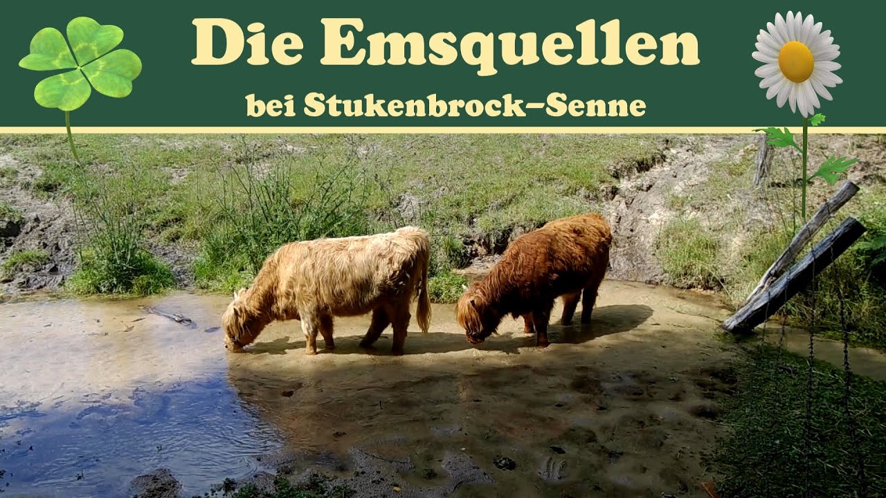 Die Emsquellen bei Stukenbrock-Senne