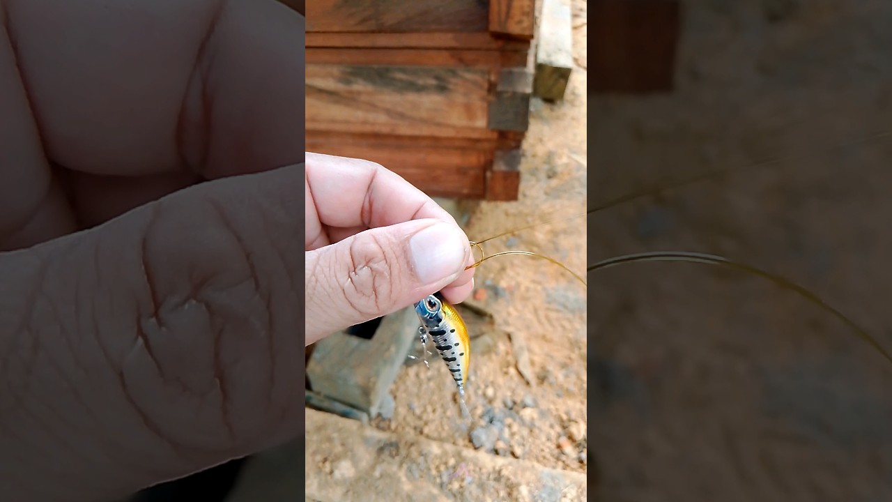 how to tie a RAPALA KNOT #fishing #fishingknot #rapala #lure #minnow #tutorial #tips