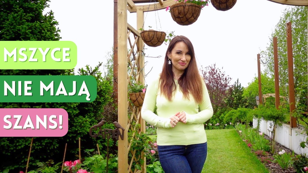 MSZYCE - naturalne i skuteczne sposoby na walkę ze szkodnikami na rabatach