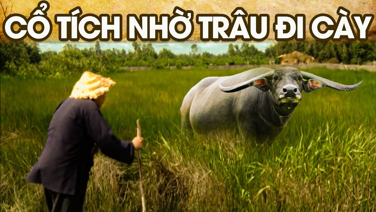 CỔ TÍCH NHỜ TRÂU ĐI CÀY | CỔ TÍCH VIỆT NAM MỚI NHẤT 2024 | PHIM CỔ TÍCH HAY 2024 | GHIỀN CỔ TÍCH
