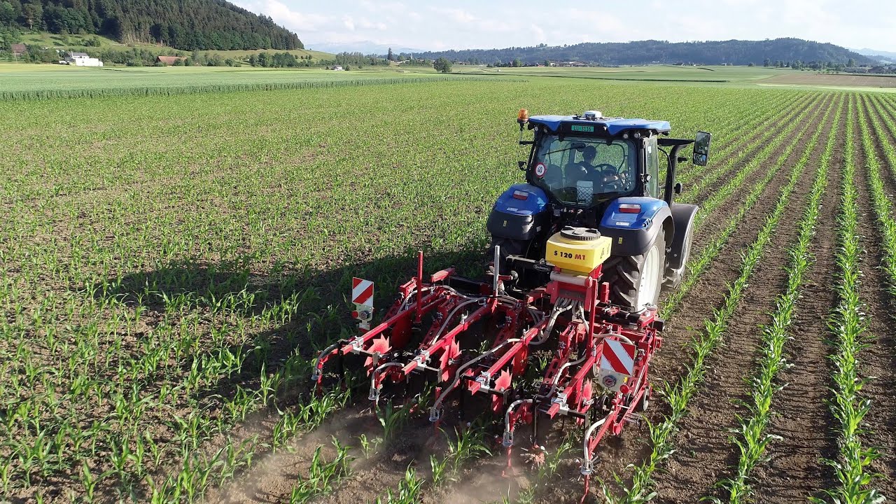 Maishacken mit Untersaat ( Steketee und New Holland )
