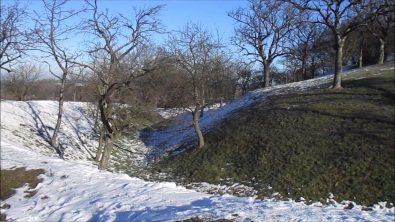 Die Stapelburg  -  eine Ruine erzählt