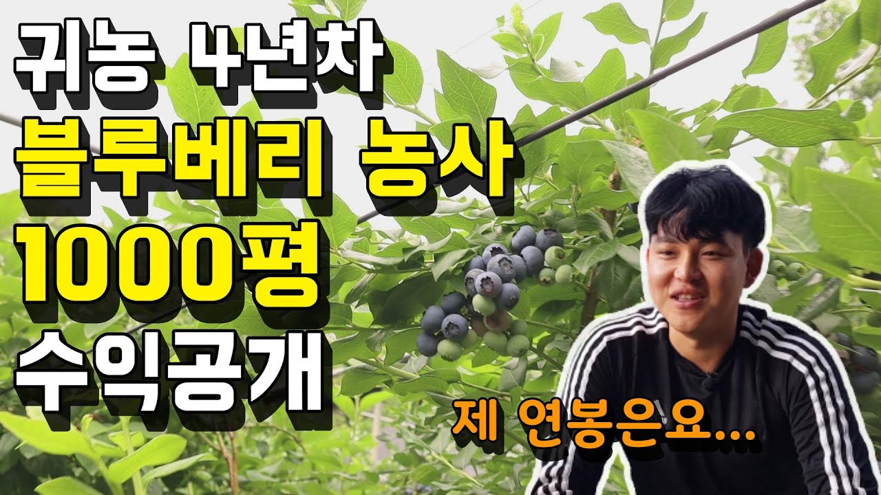 젊은나이에 농사로 성공할 수 있을까? 27살, 청년농부의 귀농 이야기 [블루베리 농사] 농부김영진