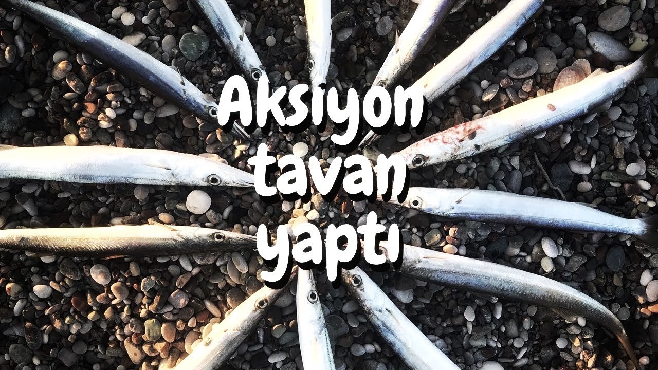 HER ANI AKSİYON DOLU LRF İLE BALIK AVI