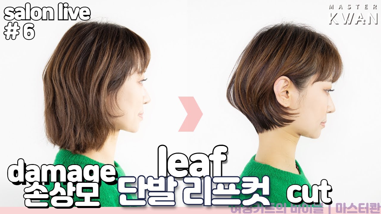 SUB)망한머리 안되는 방법 6. 손상모발도 예쁘게 #단발리프컷 자르기!! how to cut damage hair to bob 청담동 사모님 단발 | 마스터콴