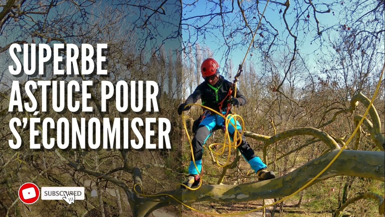 S'économiser sur un chantier d'élagage
