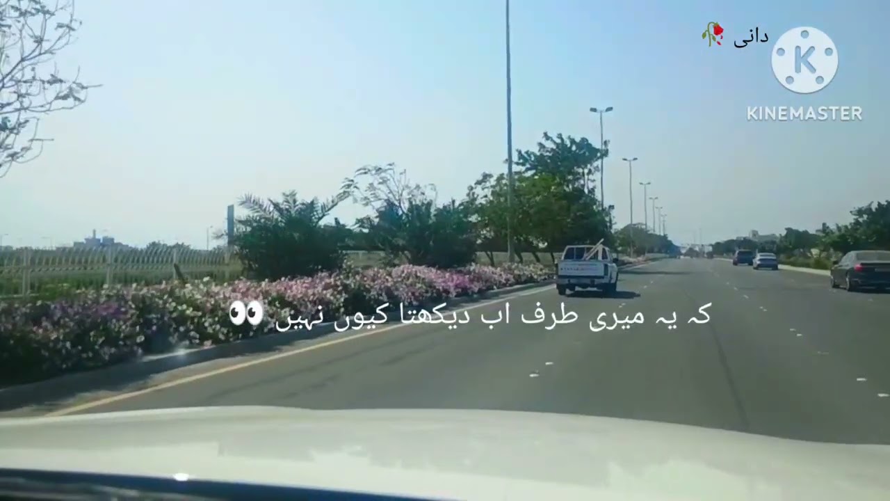 مجھے اب تم پر کوئی گلا نہیں🥀