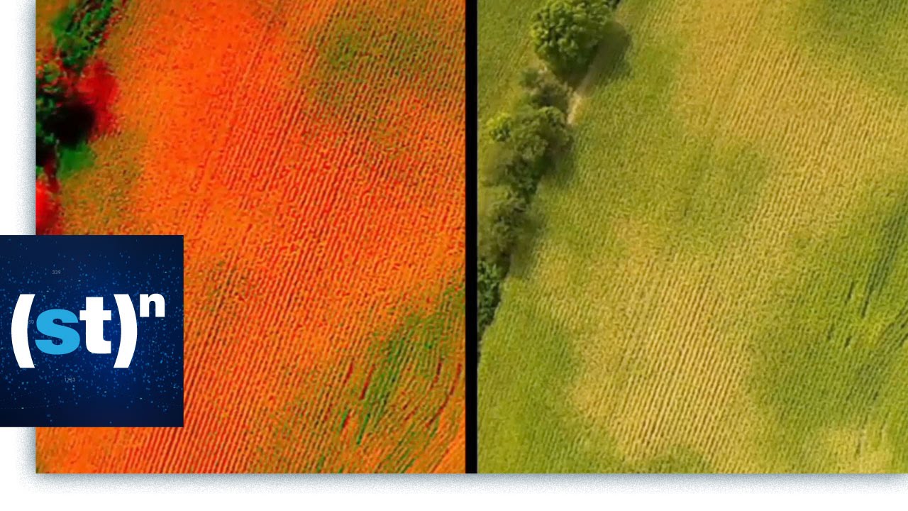 How are drones helping farmers keep an eye on crops? | SciTech Now